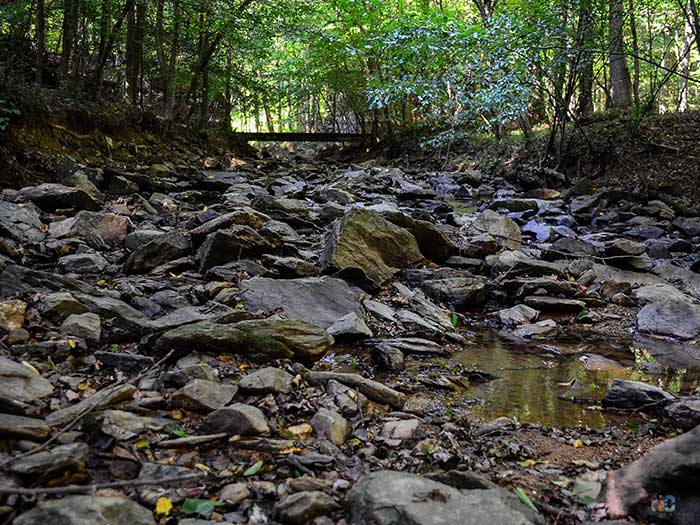 Glen Burney Trail Hiking in North Carolina Image