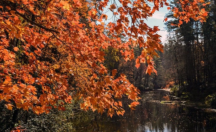 Fall in North Carolina
