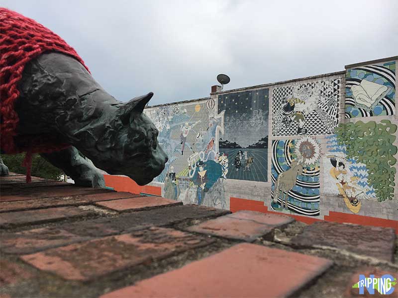 Downtown Asheville Cat Walk Wall Street