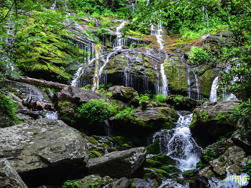Things to Do Near Asheville nc Catawba Falls