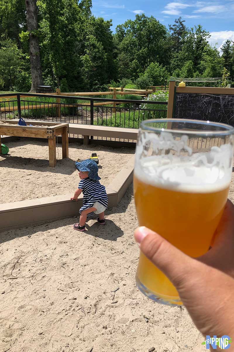 What to do in Asheville NC Sierra Nevada