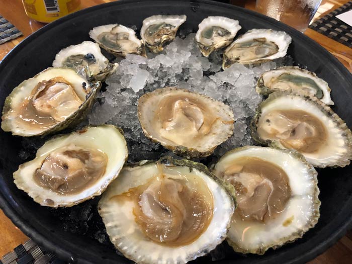 Outer Banks Seafood Restaurants Coastal Provisions Oyster Bar and Wine Bar Cafe Photo by Dana Freeman