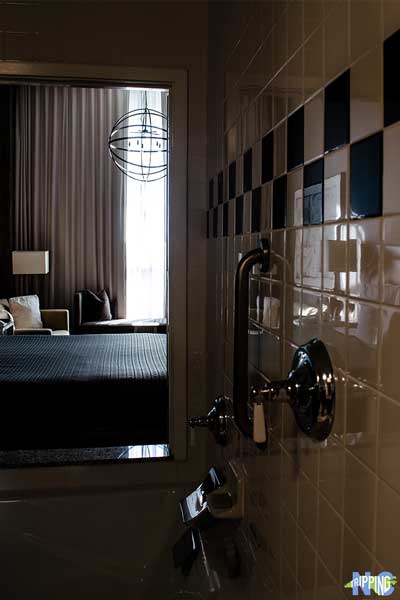 Hotels in Greensboro NC Proximity Hotel Loft King Spa