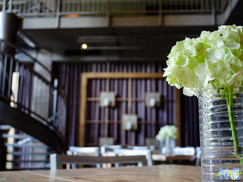Hotels in Greensboro NC Proximity Hotel Social Lobby