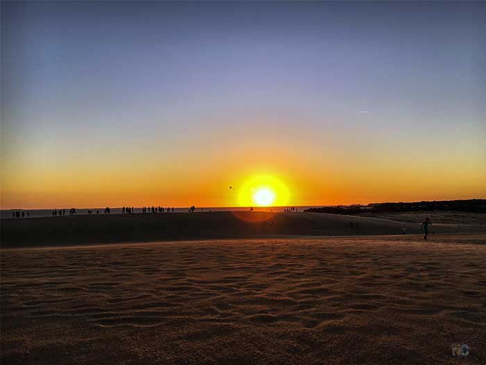 What to Do in North Carolina Outer Banks Jockeys Ridge State Park Image