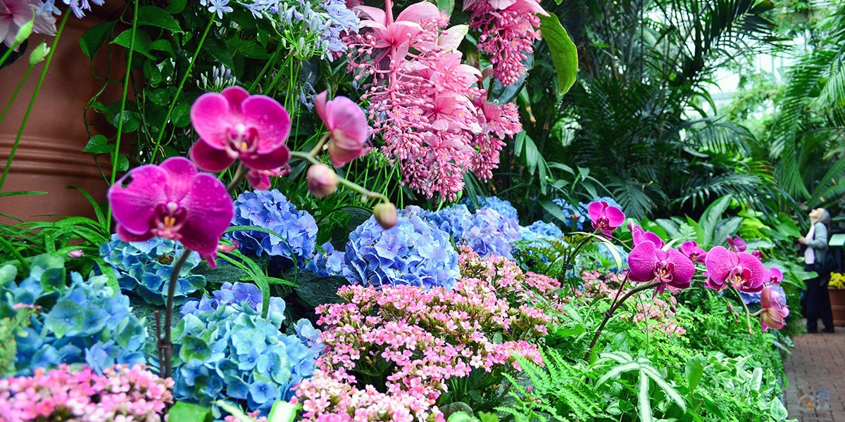 20+ Spring Things to Do in North Carolina Local Events in NC