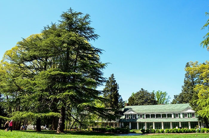 Museums in North Carolina Reynolda House Winston Salem