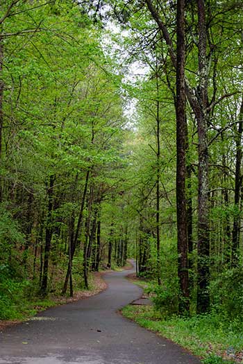 North Carolina Attractions Carolina Thread Trail Broad River Greenway Trail Images