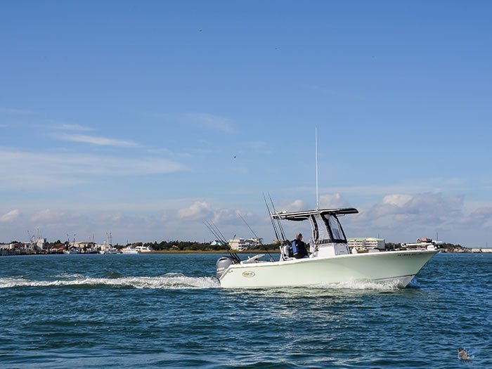 Things to do at North Carolina Beaufort Image