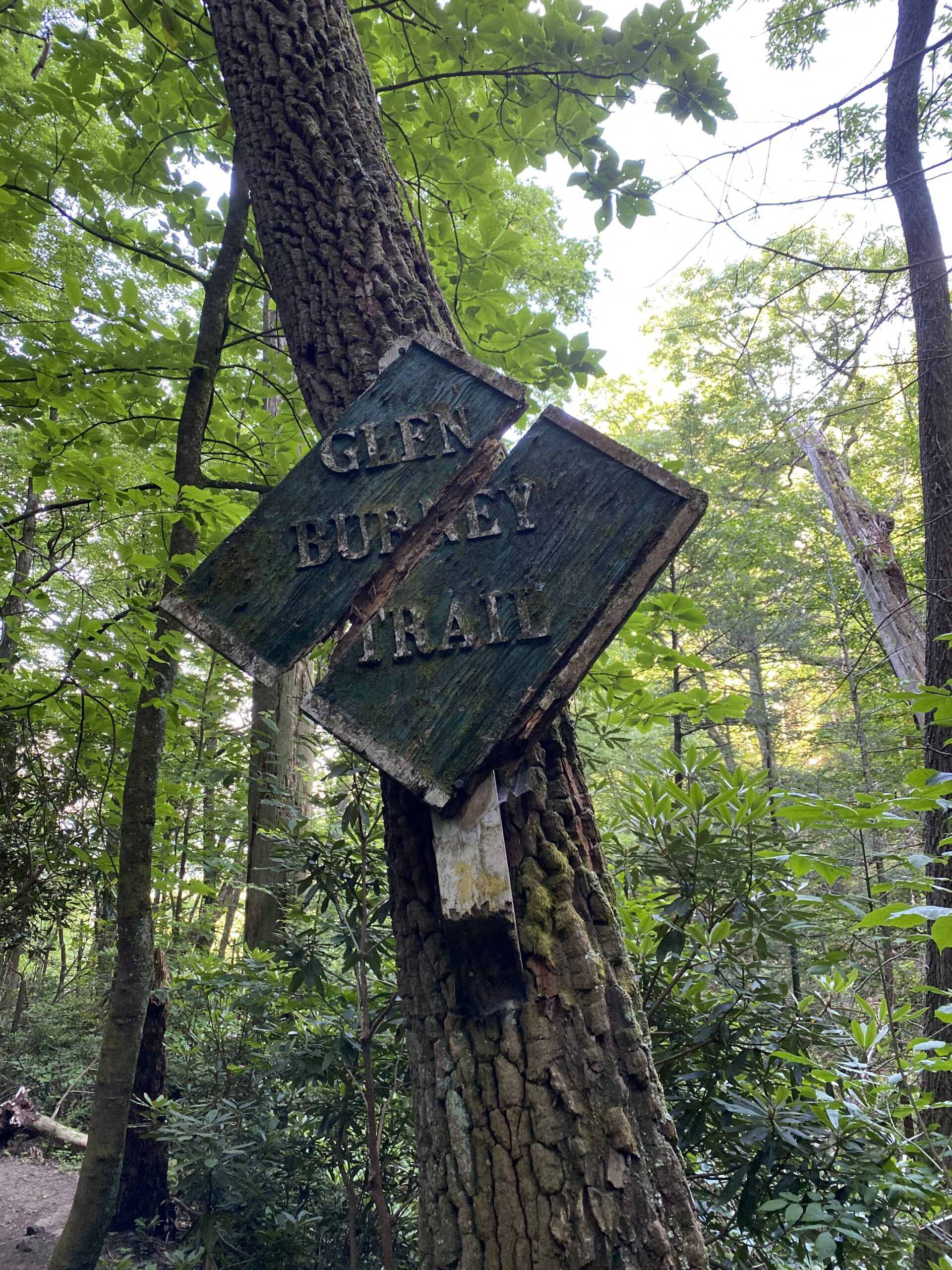 30+ Great Things to Do in Blowing Rock NC (Hiking and More!)