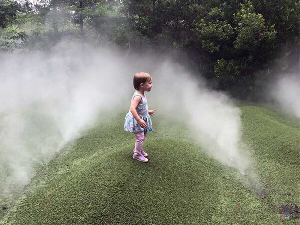 Museum of Life and Science in Durham NC (15+ Things We Love)