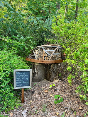 Museum of Life and Science in Durham NC (15+ Things We Love)