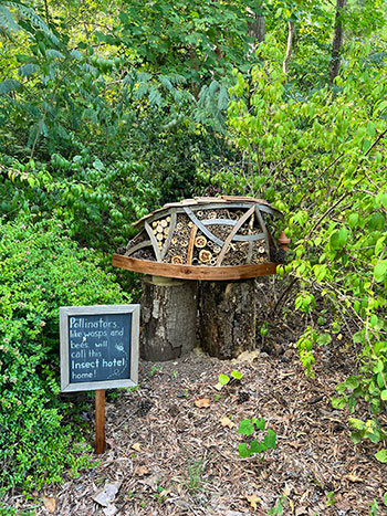 Durham Museum of Life and Science Pollinators