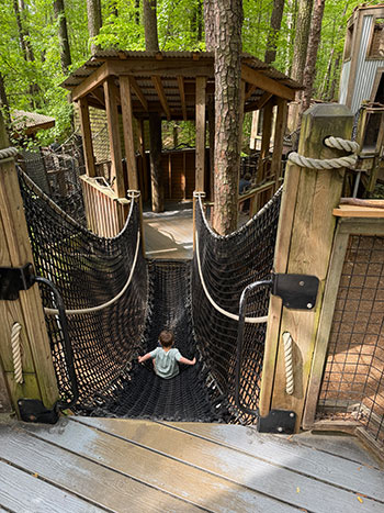 Durham Museum of Life and Science Treehouse