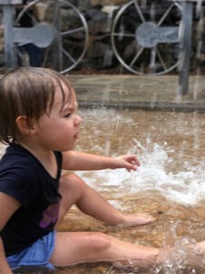 Museum of Life and Science in Durham NC (15+ Things We Love)