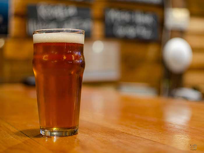 Asheville Breweries Twin Leaf Image