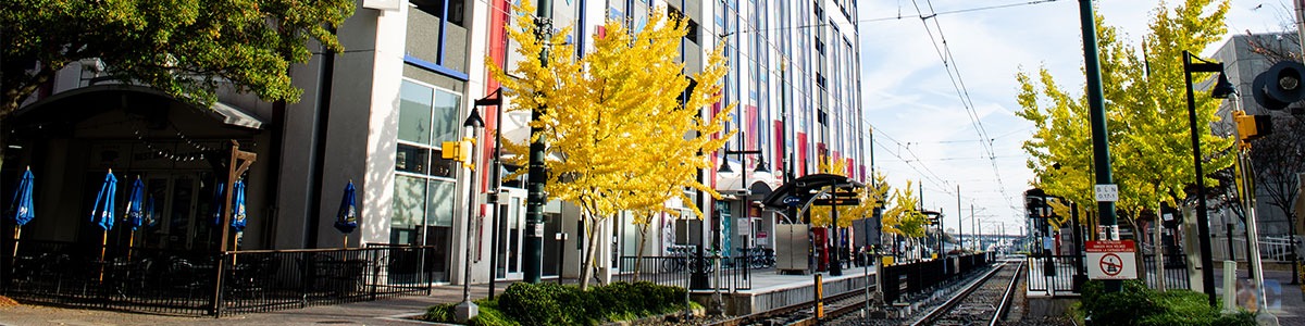 Charlotte NC Image