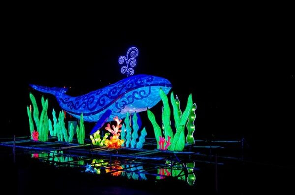 Huntersville carbert Tips for the North Carolina Chinese Lantern Festival In Cary