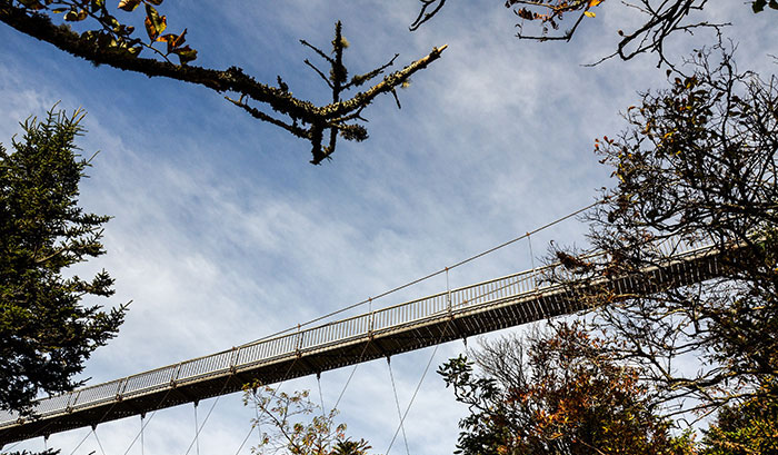 Grandfather Mountain Things to Do Mile High Swinging Bridge Image
