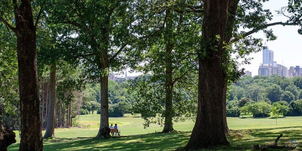 Raleigh NC Wake County Travel Guides Featured Image