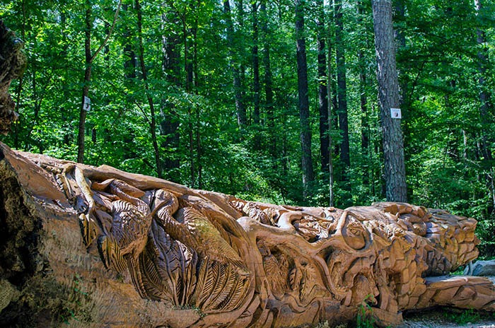 Umstead State Park Raleigh NC Chainsaw Art Image