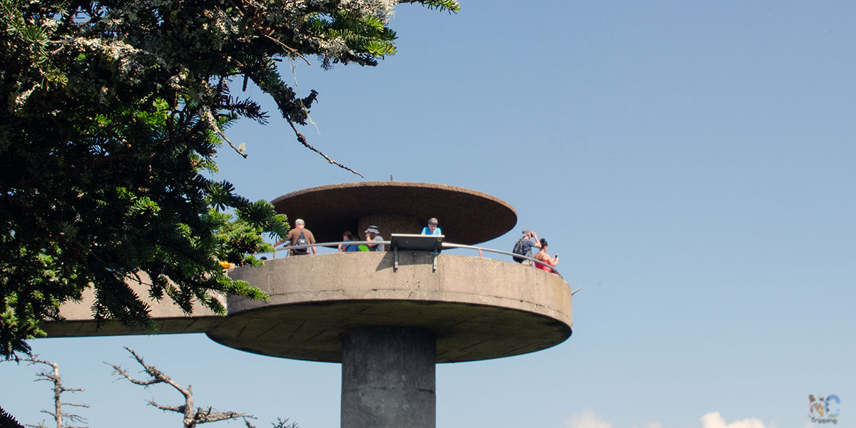 How to See Clingmans Dome Observation Tower: Great 360 Views