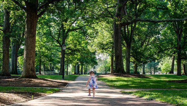 25 Best Things to Do in Chapel Hill and Orange County NC