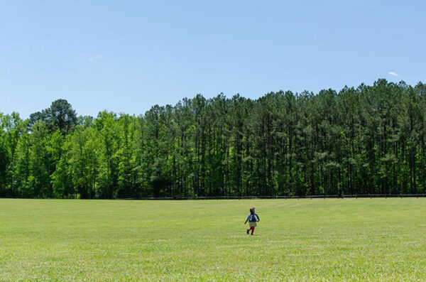 Medoc Mountain