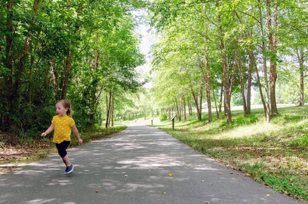 15 (number) visual data 6