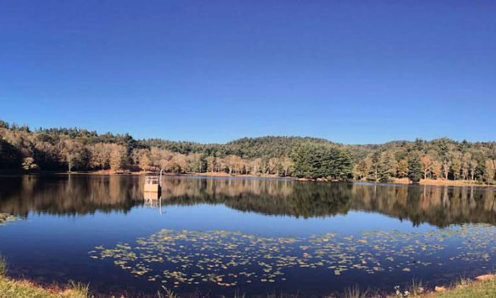 Bass Lake Trail is one of a few fun hikes near Blowing Rock.