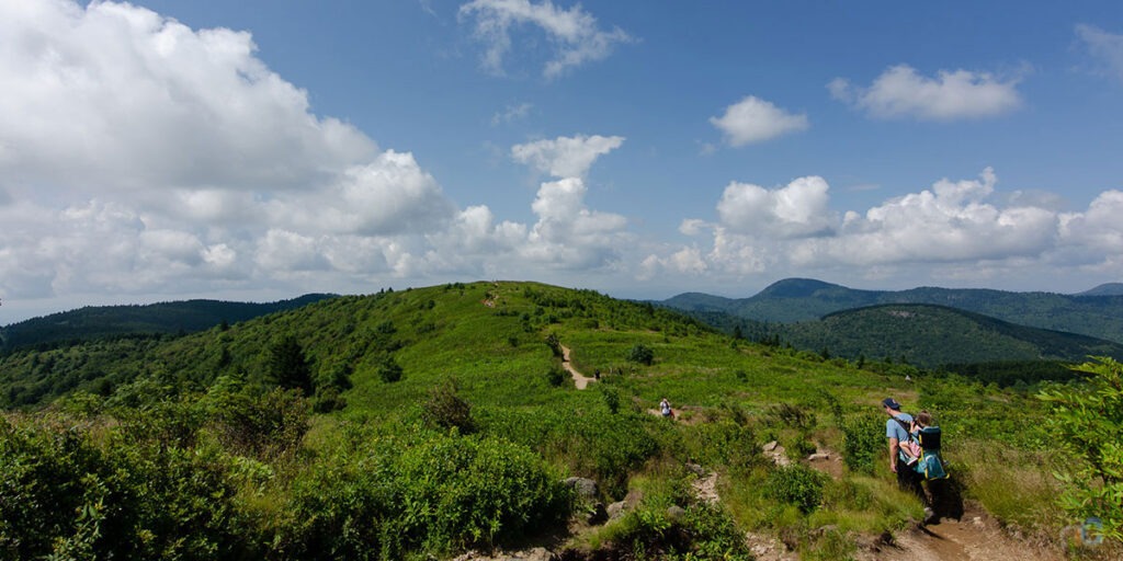 20+ Wonderful Things to Do in Black Mountain NC for Everyone