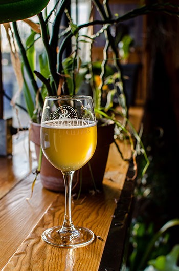 a glass of white wine from Stardust Cellars