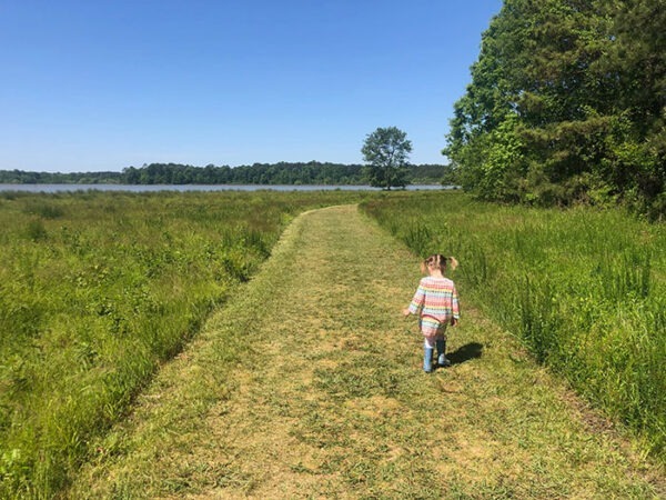 15 of the Best Things to Do in Cary NC (Food + Outdoors)