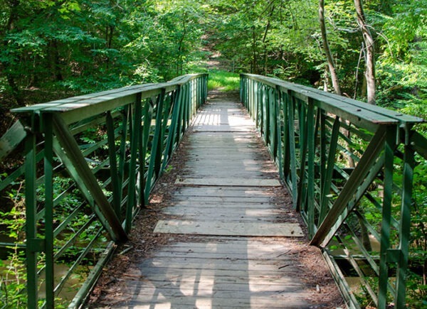 15 of the Best Things to Do in Cary NC (Food + Outdoors)