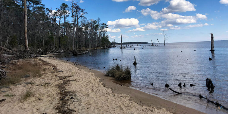Goose Creek State Park NC