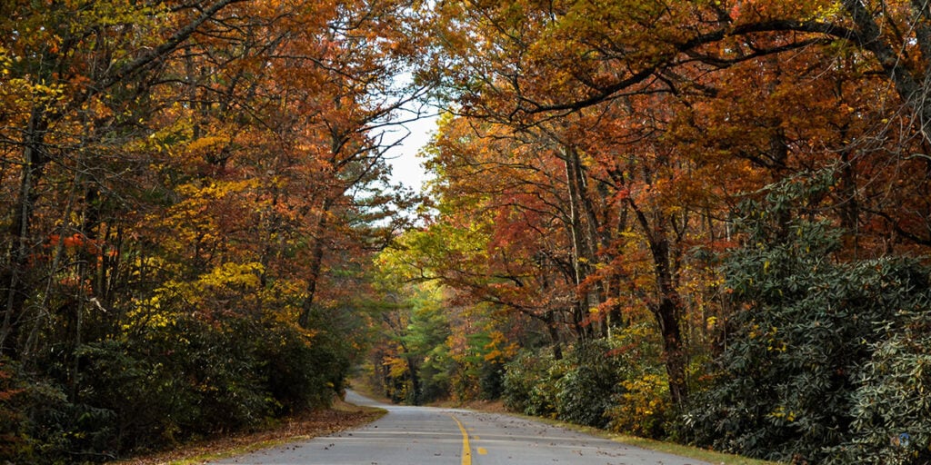 Fall in North Carolina