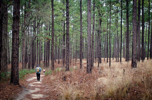 23 Best Things To Do In Moore County NC Golf More Events 23-best-things-to-do-in-moore-county-nc-golf-more-events