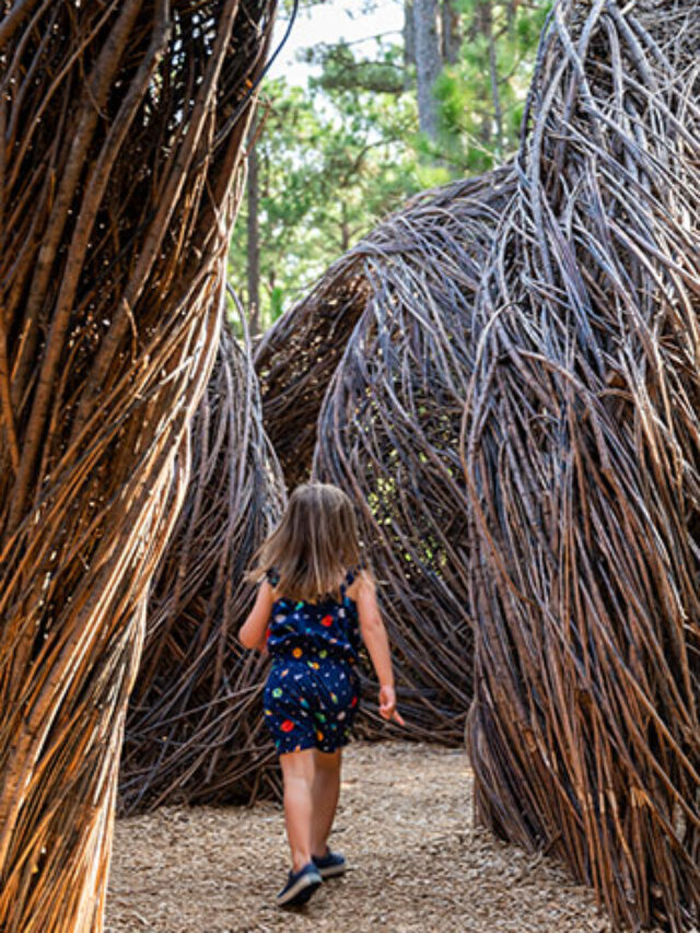 Things to do in Southern Pines, NC NC Tripping