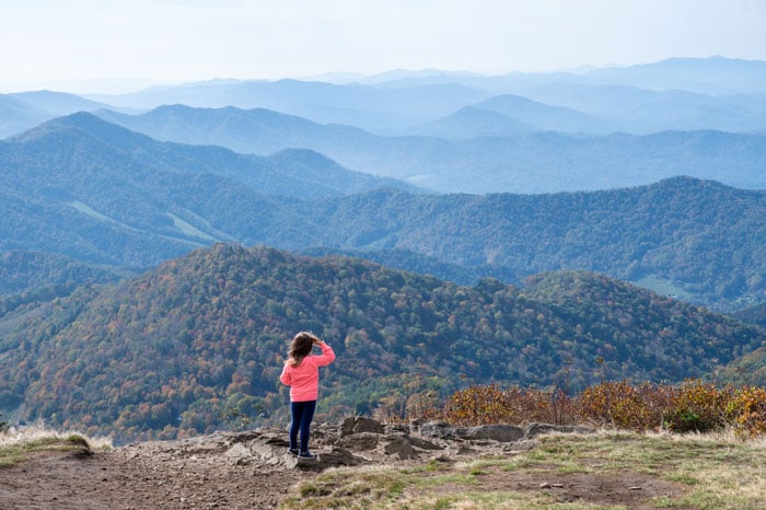 Things to Do in Banner Elk Carvers Gap at Roan Mountain