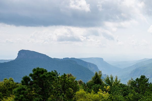 15 (number) visual data 4