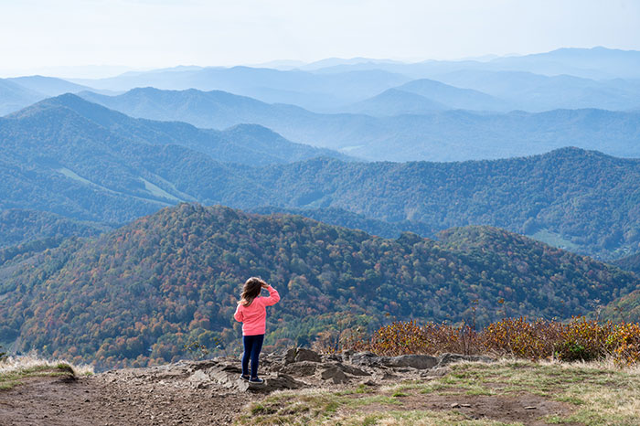 Western North Carolina Carvers Gap at Roan Mountain