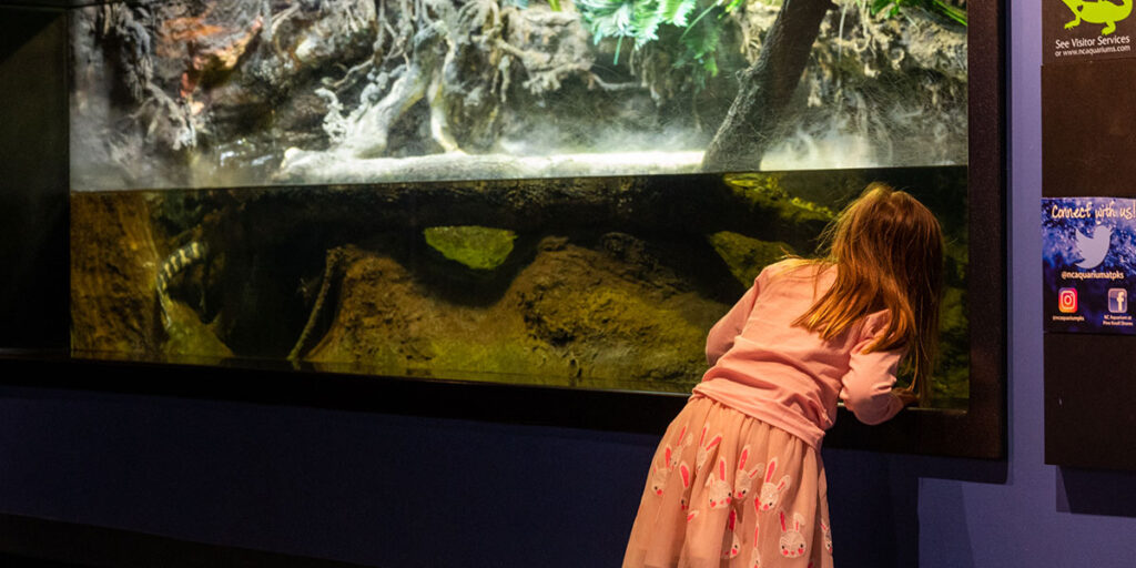 20+ Wonderful Things to Do on Topsail Island NC (+ Beaches)