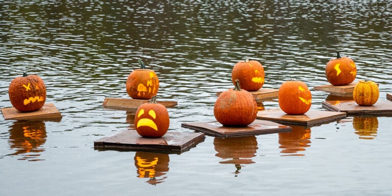 Things to do in October in North Carolina