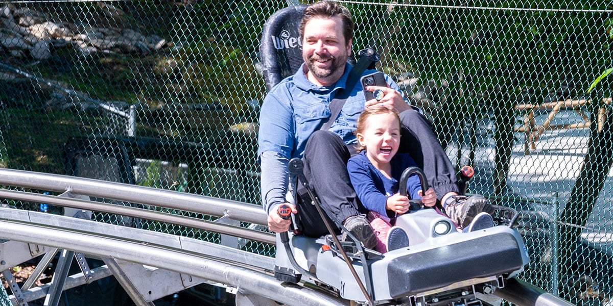 Wilderness Run Alpine Coaster Banner Elk (7 Important Tips!)