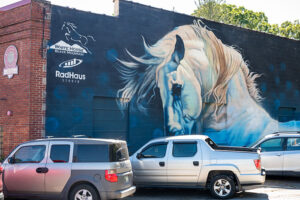20+ Wonderful Things to Do in Black Mountain NC for Everyone