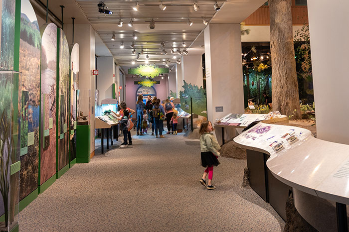 NC Natural Sciences 4