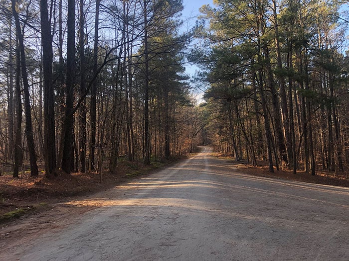 Winter Hikes in NC Umstead State Park Raleigh Image by NC Tripping