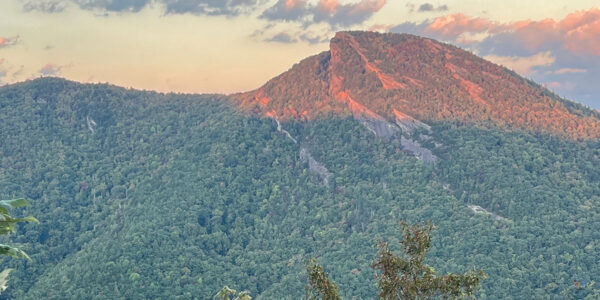 20+ Wonderful Things to Do in Black Mountain NC for Everyone