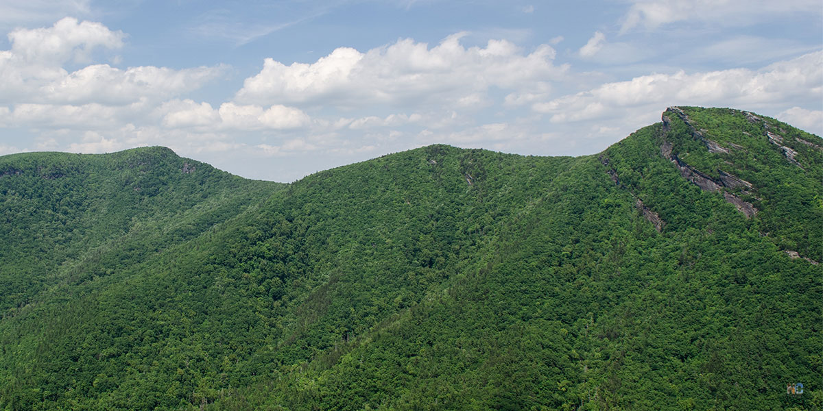 Hawksbill Mountain Trail North Carolina Linville Gorge Wilderness Area