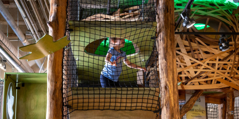 Things to Do with Kids in Asheville NC